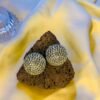 Luxe Pave Dome Stud Earrings